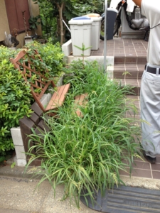 施工前